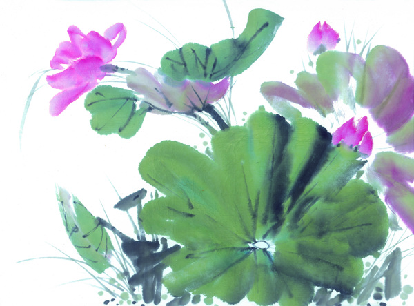 荷花油畫圖片