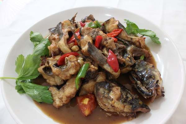 毛骨魚(yú)圖片