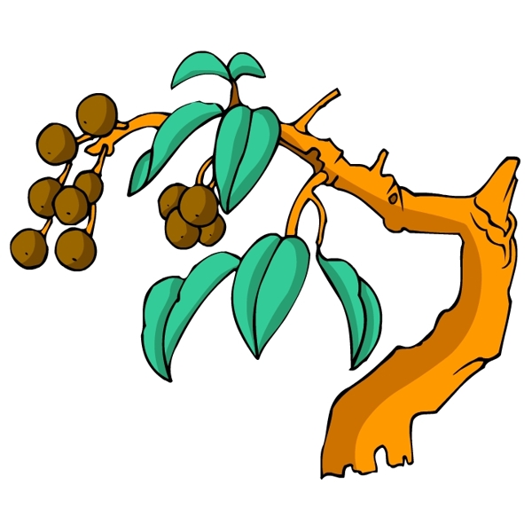 花卉古典插畫
