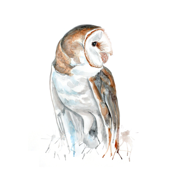 位圖插畫時尚插畫動物插畫藝術(shù)效果免費素材
