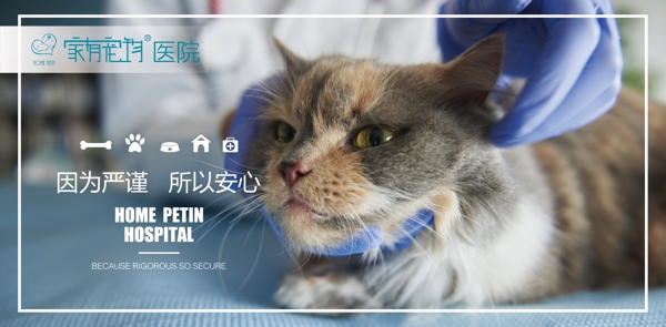 寵物