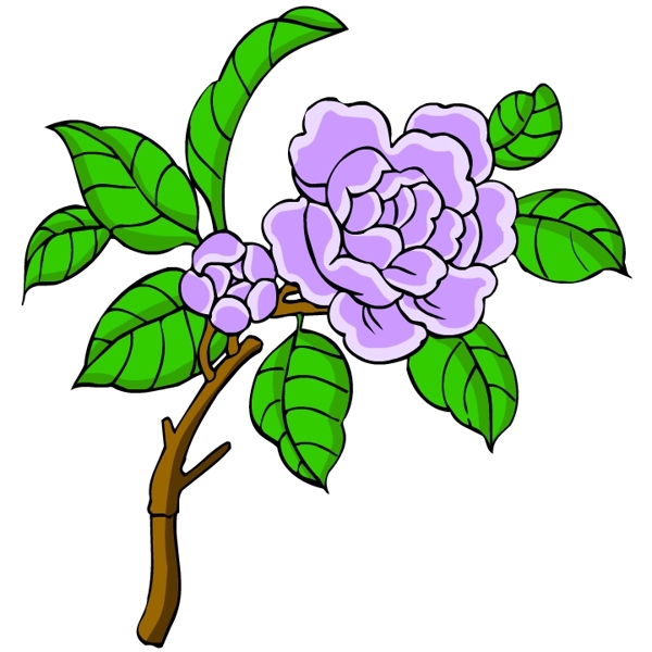 花卉古典插畫