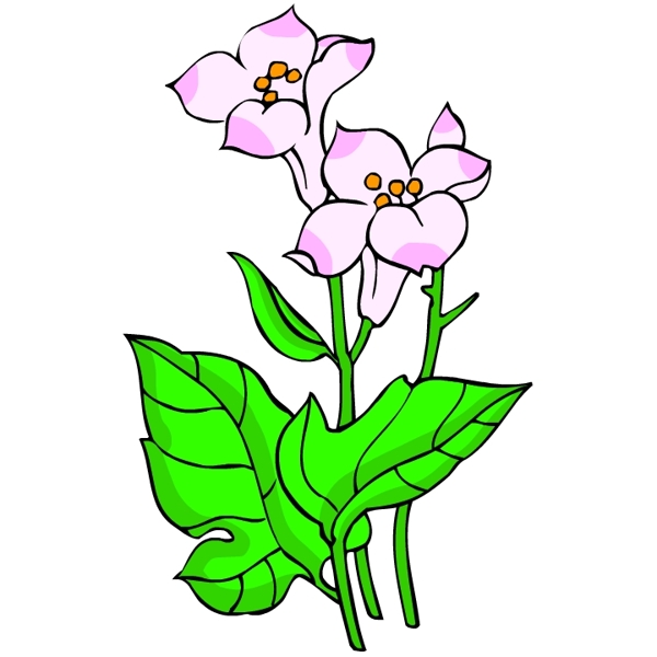花卉古典插畫