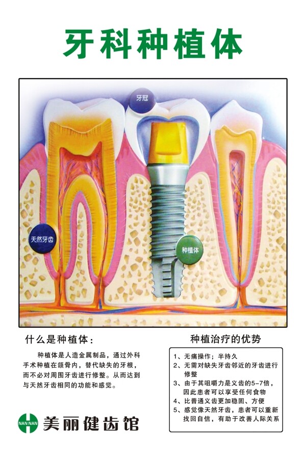牙科