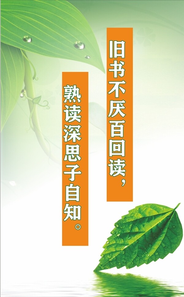 校園文化勵(lì)志標(biāo)語(yǔ)