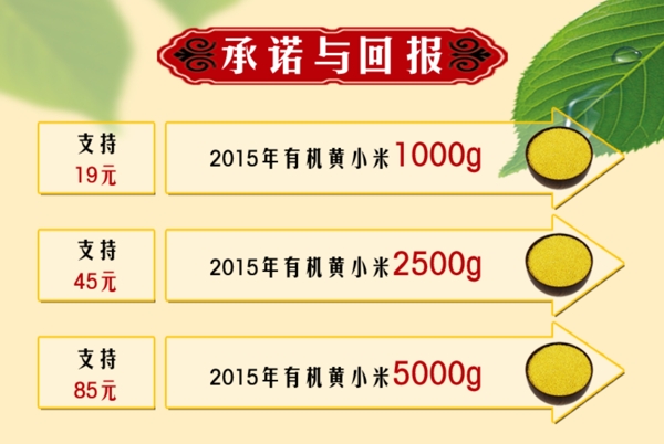 淘寶眾籌