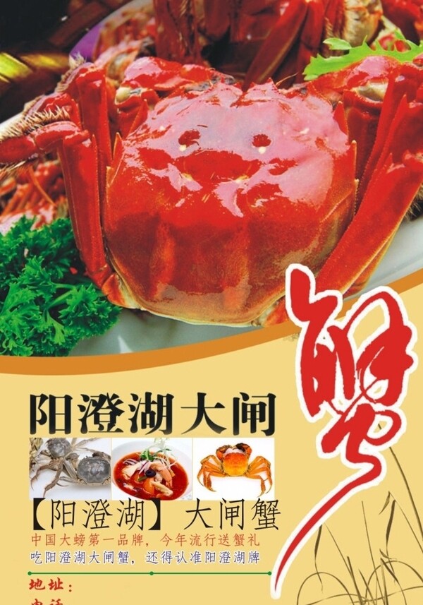 陽澄湖大閘蟹