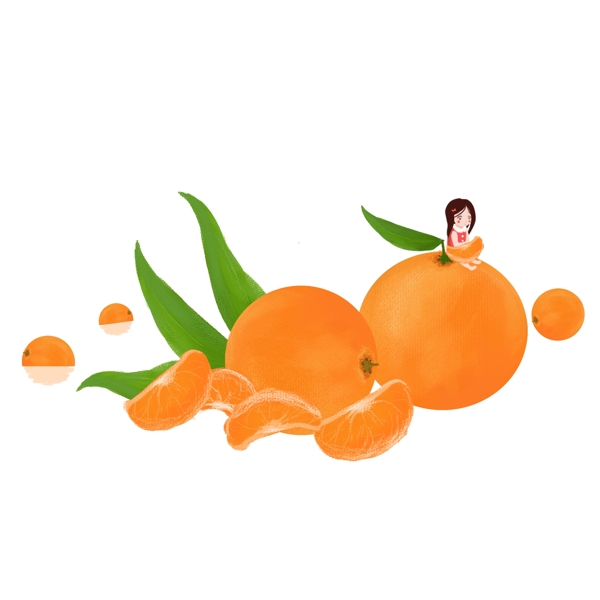 手绘橘子设计素材