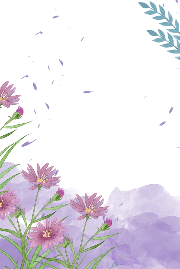 野菊花紫色背景图片