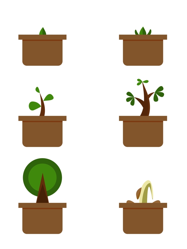 清新可爱植物生长过程图