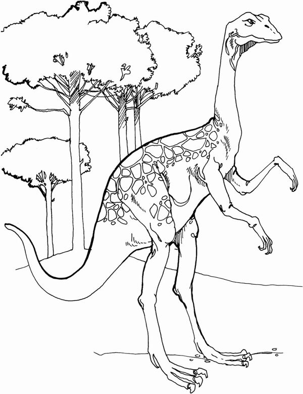 遠(yuǎn)古時代的動物恐龍手繪畫動物素描