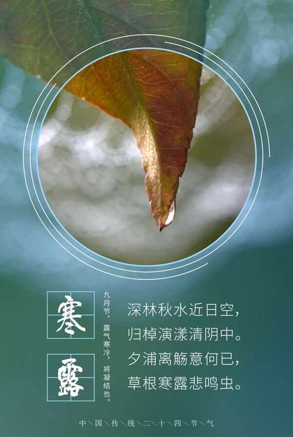 二十四節(jié)氣寒露海報