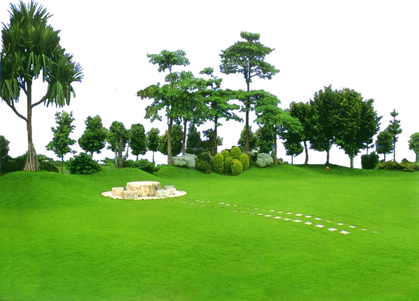 樹(shù)