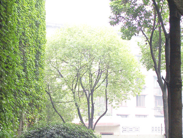 中式穩(wěn)重的餐廳裝飾