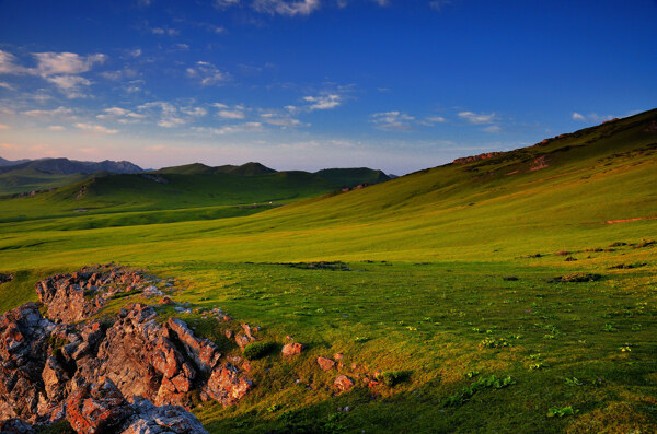 夏天的草原風(fēng)景