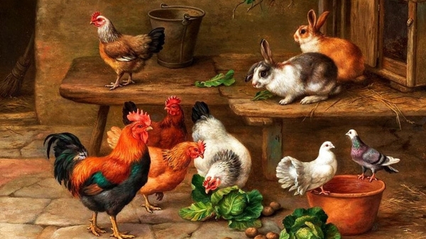 油画风格农舍鸡兔子