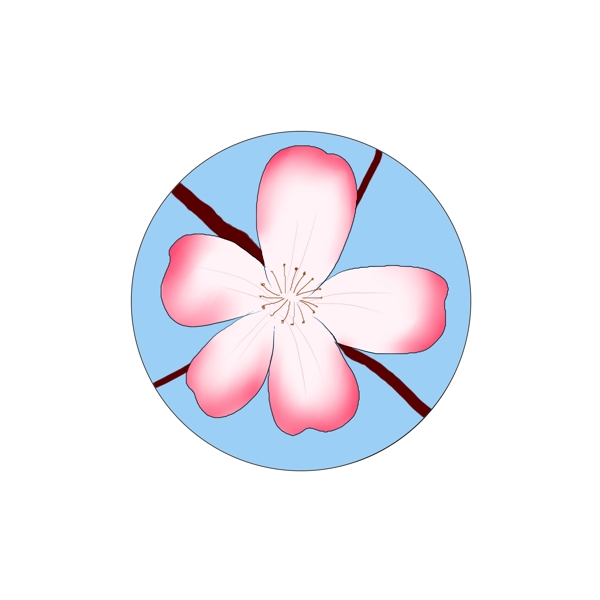 一朵粉色的海棠花