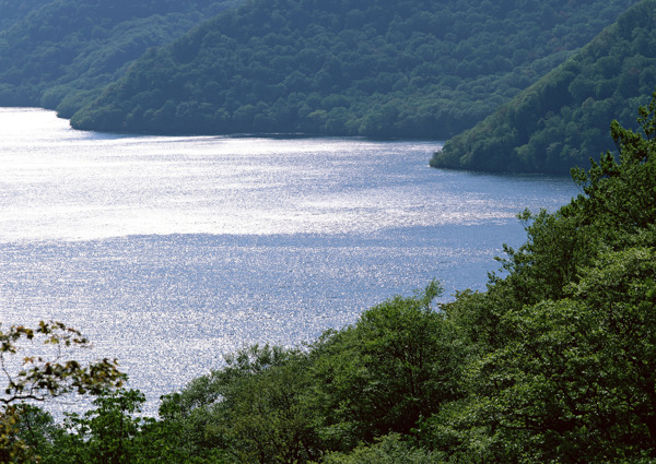 美丽湖泊美景图片