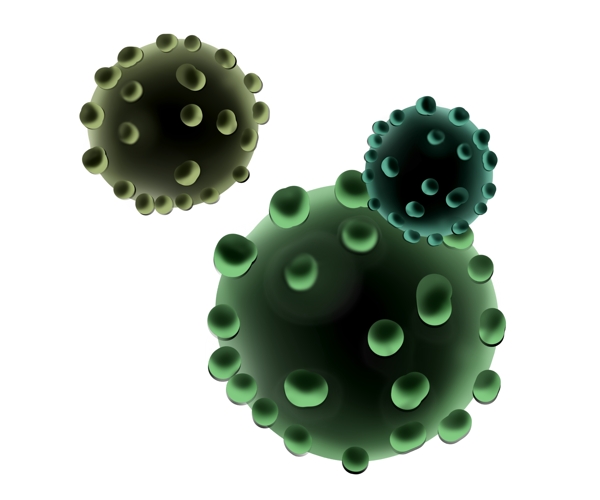 细菌细胞膜的插画
