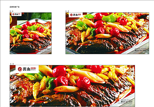 魚圖片