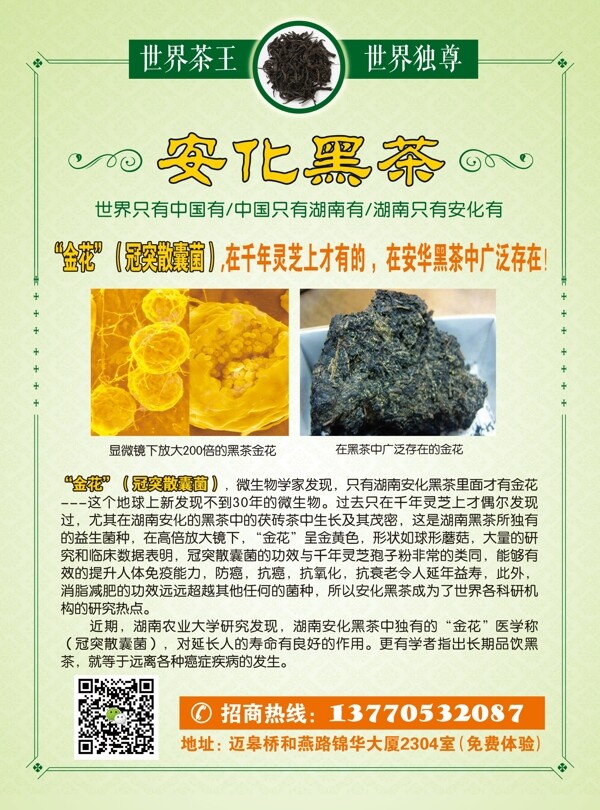 茶單頁(yè)