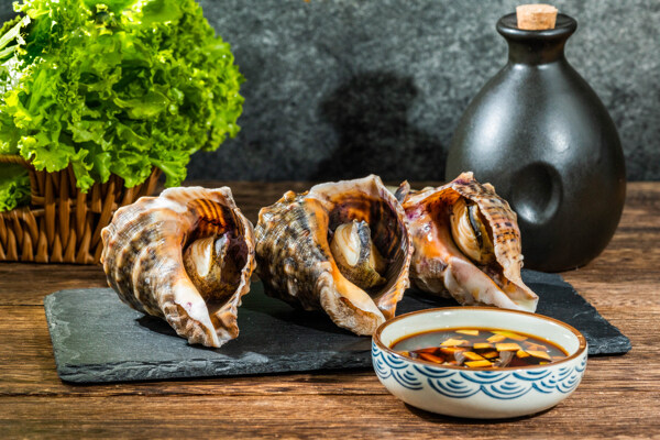 海螺美食食材背景海报素材图片