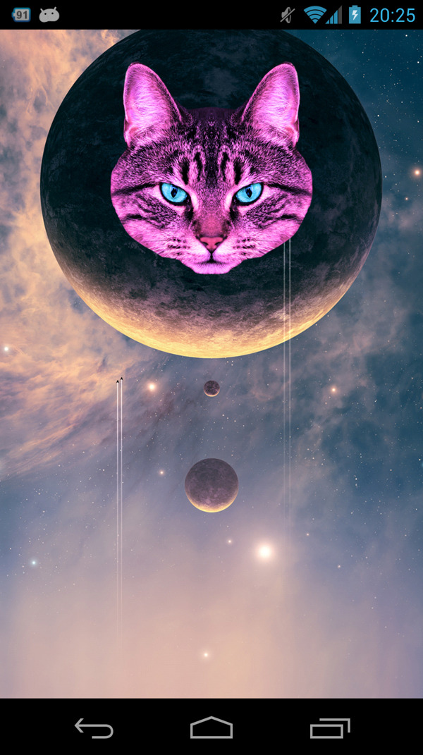 空間的貓