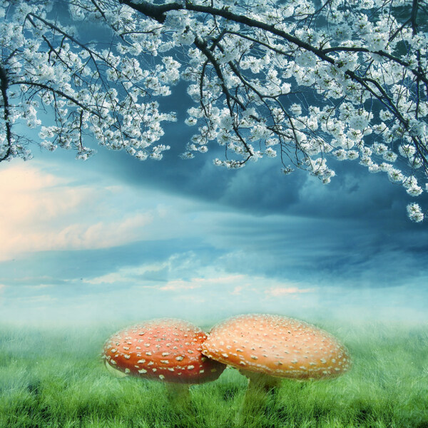 蘑菇风景画背景墙