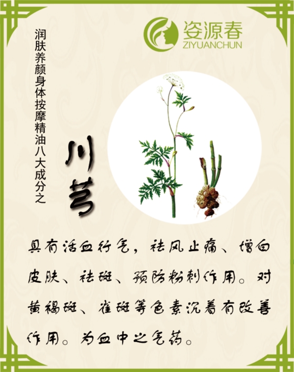 成分功效介紹