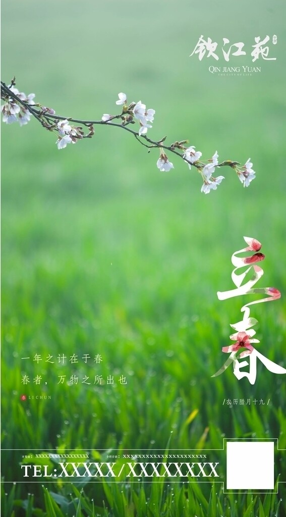 立春