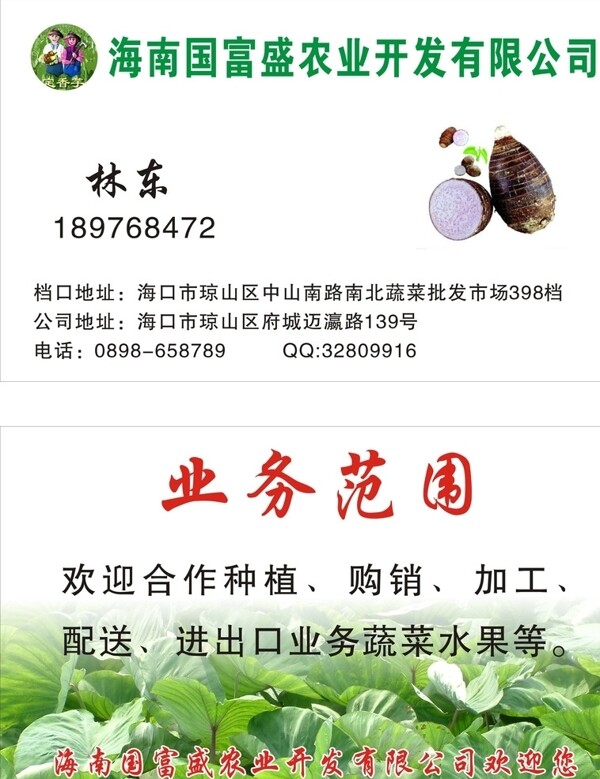 批發(fā)名片圖片