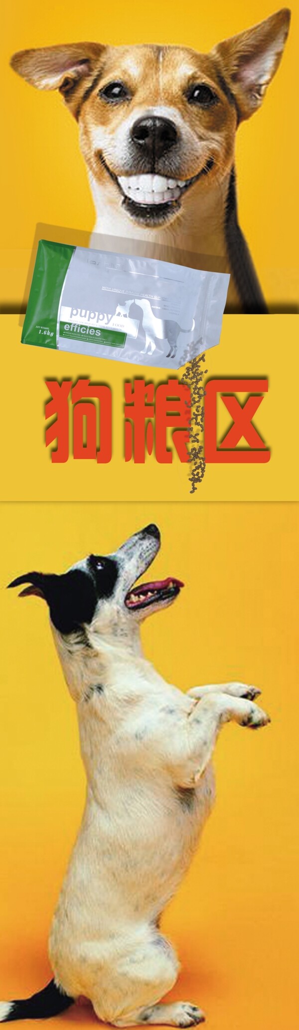 區(qū)