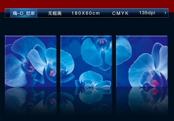 蝴蝶蘭無框畫圖片