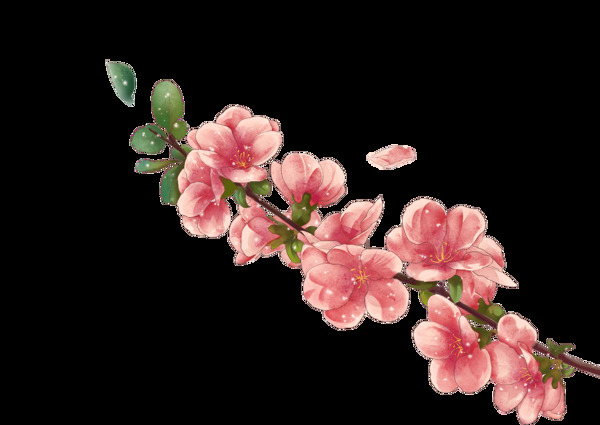 水彩桃花png免扣元素