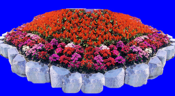 花壇109植物素材