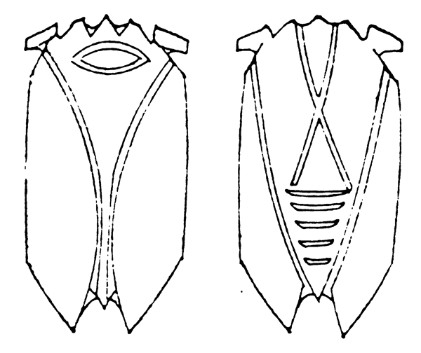 動(dòng)物圖案中國(guó)傳統(tǒng)圖案秦漢時(shí)期圖案003