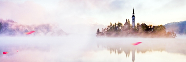 云霧花瓣仙氣背景