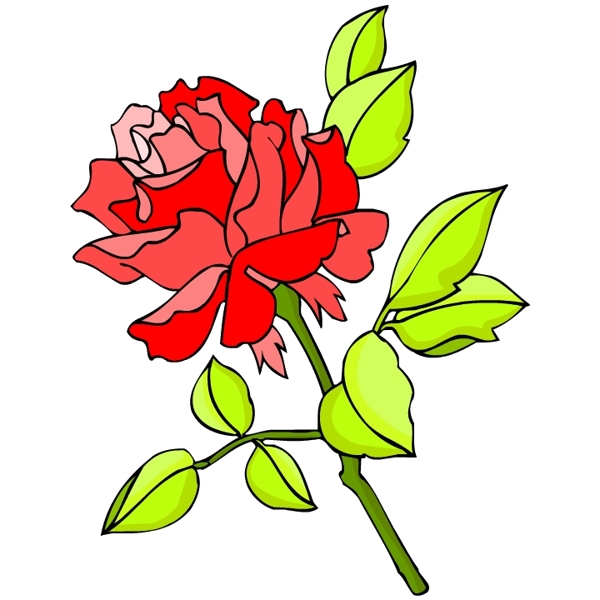 花卉古典插畫