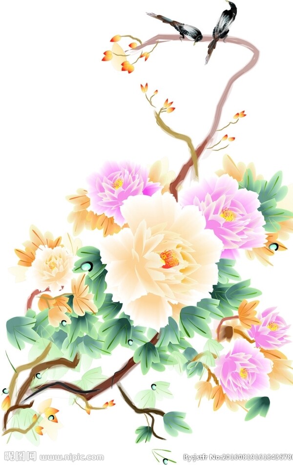 牡丹花開