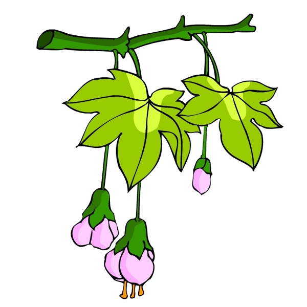 花卉古典插畫