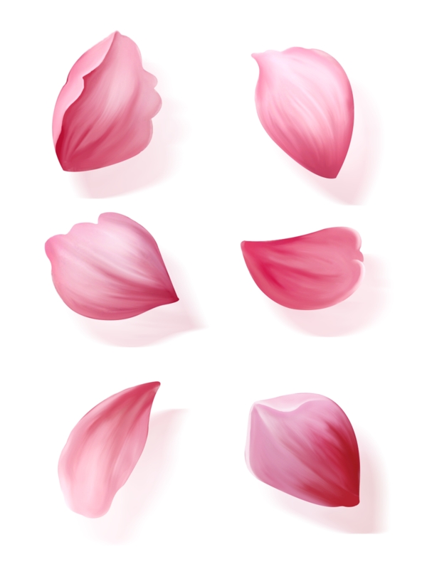 花瓣