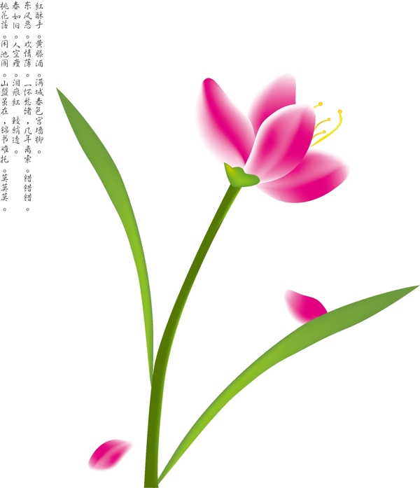 手繪花兒