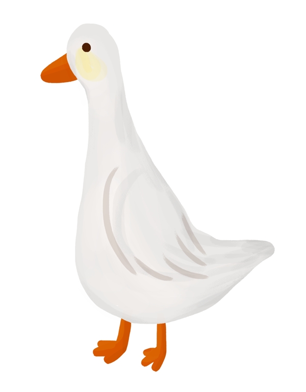 手绘白色鸭子插画