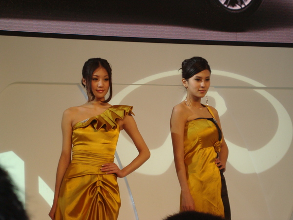 2010年北京车展美女图片
