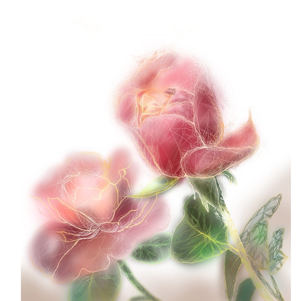 唯美手绘两只玫瑰花元素设计