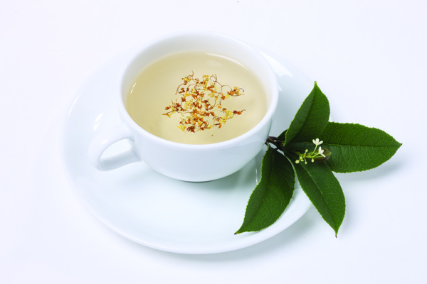 桂花茶圖片