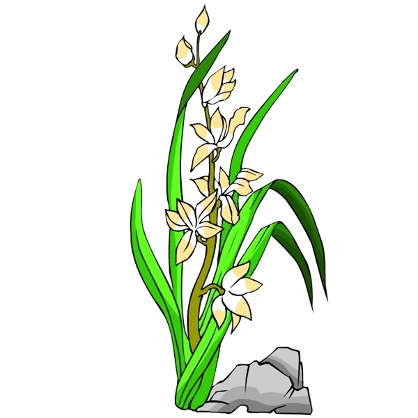 花卉古典插畫
