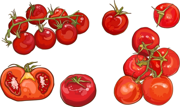 卡通西红柿矢量元素