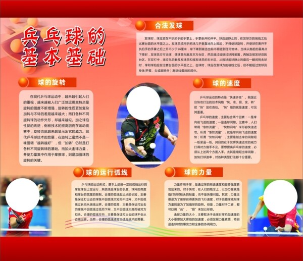 兵乓球基礎(chǔ)圖片