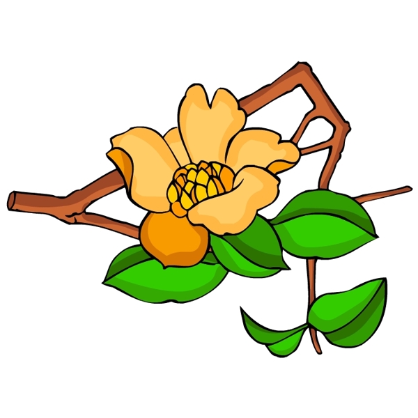 花卉古典插畫